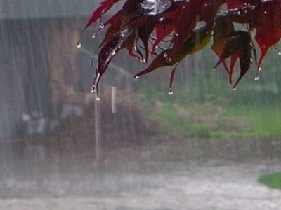 افزایش بیش از ۱۰۰ درصدی بارشها در مراغه