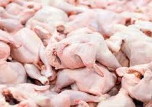 کاهش قیمت مرغ گرم در آذربایجان شرقی