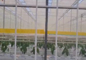 اختصاص ۶۴۰۰ هکتار از اراضی ملی آذربایجانشرقی به گلخانه و نیروگاه خورشیدی