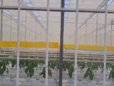 اختصاص ۶۴۰۰ هکتار از اراضی ملی آذربایجان‌شرقی به گلخانه و نیروگاه خورشیدی