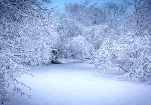 آذربایجان شرقی تعطیل شد